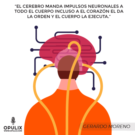 El aprendizaje absorbiendo conocimientos El aprendizaje absorbiendo conocimientos